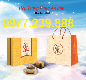 Bánh Trung Thu cao cấp Hải Hà 2 Trứng