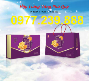 bán bánh trung thu cao cấp hải hà trăng vàng phú quý ở quầy