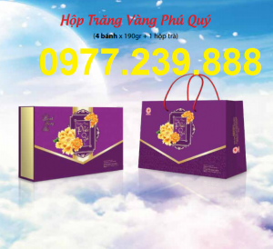 bánh trung thu cao cấp hải hà hộp phú quý ở thanh xuân