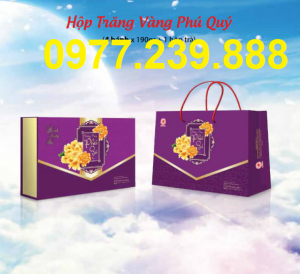 bánh trung thu cao cấp hải hà hộp phú quý mua bán