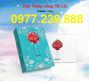 bánh trung thu cao cấp hải hà hộp tài lộc ở quầy giá gốc