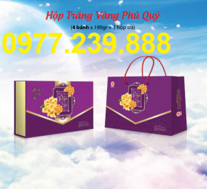 bánh trung thu cao cấp hải hà trăng vàng phú quý ở hà nội