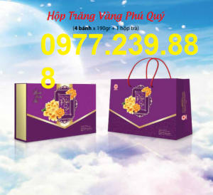 bảng giá bánh trung thu cao cấp hải hà hộp phú quý ở ngọc hồi