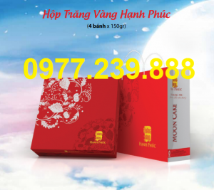 hộp cao cấp bánh trung thu hải hà ở quầy gia lâm