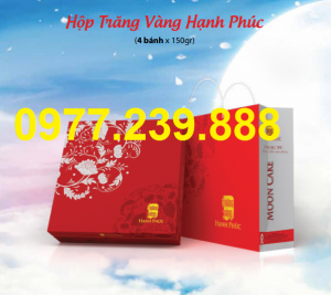 hộp cao cấp bánh trung thu hải hà ở quầy nam định