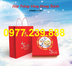 sản phẩm Bánh Trung Thu Hải Hà ở thanh xuân